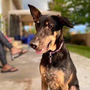 Meet your Posher, Sj